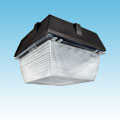 24VDC Solar Compatible Induction Canopy Lighting of 24VDC Canopy Lighting category Neptun SKU Induction - 12xxx Series