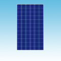 235W Polycrystalline Solar Panel of Solar Panels category Neptun SKU 235W Panel