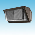 24VDC Solar Compatible Induction Wall Pack of 24VDC Flood Lighting  category Neptun SKU Induction - 14" 21xxxFLD Series