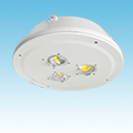 LED - 15 inch Round Low Profile Canopy Fixture - LED-LP13 Series of LED Garage/Canopy/Gas Fixtures category Neptun SKU LED-LP13 Series