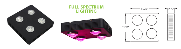 LED - COB Full Spectrum Grow Light - 4 Lamp