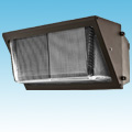 24VDC Solar Compatible Induction Wall Pack of 24VDC Flood Lighting  category Neptun SKU Induction - 18" 21xxxFLD Series