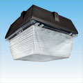 LED Garage/Canopy/Gas Fixtures LEDC