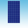 300W Multicrystalline Solar Panel of Solar Power Plants category Neptun SKU Solar Panel