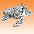 Turtle Friendly Amber LED Lighting Turtle-Friendly-LED-Lighting-orange