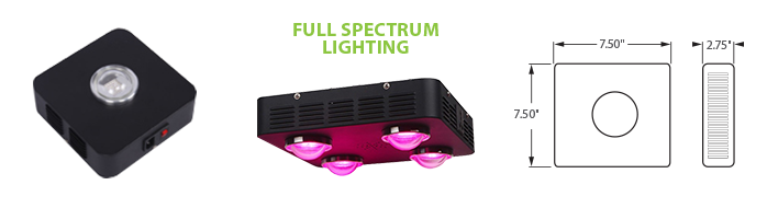 LED - COB Full Spectrum Grow Light - 1 Lamp