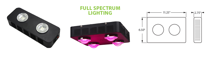 LED - COB Full Spectrum Grow Light - 2 Lamp