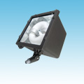 24VDC Solar Compatible Induction Flood Lighting of 24VDC Flood Lighting  category Neptun SKU Induction - 65xxx Series