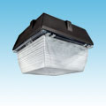 24VDC Solar Compatible LED Canopy Lighting of 24VDC Canopy Lighting category Neptun SKU LED - 12xxx Series